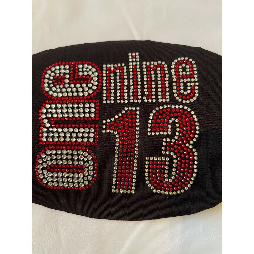 Delta Sigma Theta 1913 Rhinestone Bling Face Mask - Picture 2 of 8